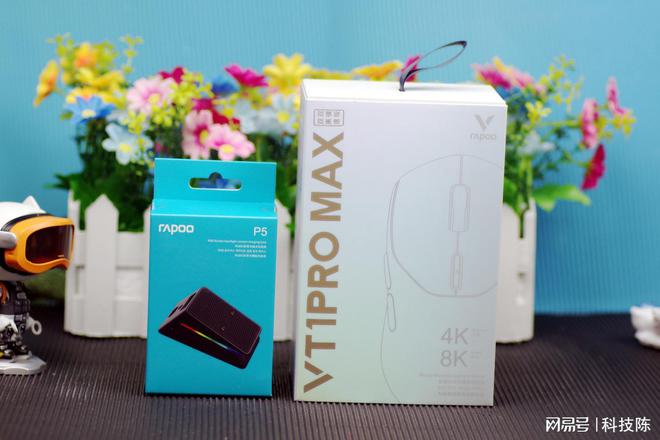 完美融合雷柏VT1 PRO MAX游戏鼠标AG真人游戏平台app轻盈、精准与续航的(图4)